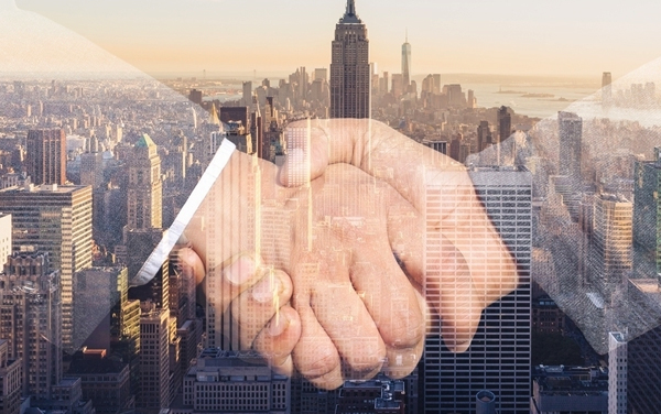 ��ϵ����